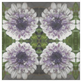 ブレット ファブリック (見本)