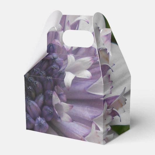 ブレット フェイバーボックス (正面サイド)