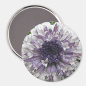 ブレット マグネット (正面/裏面)