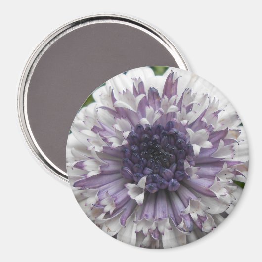 ブレット マグネット (正面/裏面)