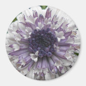 ブレット マグネット (正面)