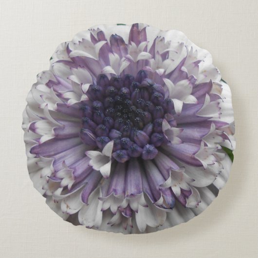 ブレット ラウンドクッション (正面)