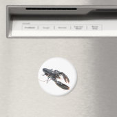 ブレトンロブスター マグネット (インサイチュ (食洗機))