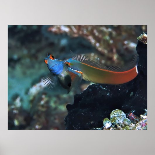 ブレニー・バトル ポスター (正面)