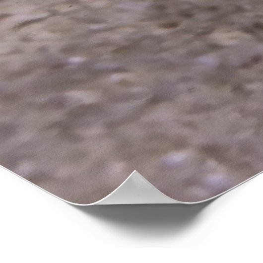 ブレニー ポスター (角)