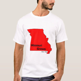 ブレンダンのワイシャツ Tシャツ