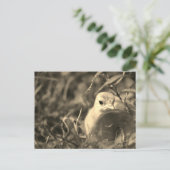 ブレンディング – はがき (スタンド正面)