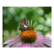 ブレンドアウト写真プリント