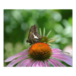 ブレンドアウト写真プリント フォトプリント           