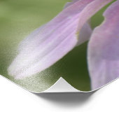 ブレンドアウト写真プリント フォトプリント            (角)