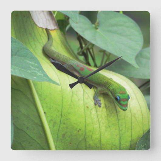 ブレンド スクエア壁時計 (正面)