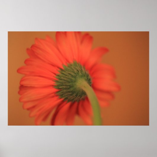 ブレンド ポスター (正面)