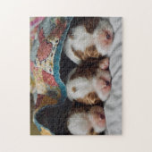 ブレンハイムカバリエキングチャールズスパニエル犬パピーズ ジグソーパズル (縦)