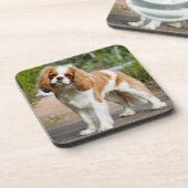 ブレンハイムカバリエキングチャールズスパニエル犬パピードッグ コースター (左側)