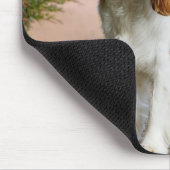 ブレンハイムカバリエキングチャールズスパニエル犬パピードッグ マウスパッド (コーナー)