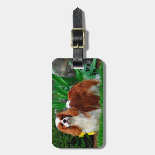 ブレンハイムカバリエキングチャールズスパニエル犬パピードッグ ラゲッジタグ (正面縦)