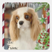 ブレンハイムカバリエクリスマスギフトラベルステッカー スクエアシール (正面)