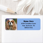 ブレンハイムカバリエールキングチャールズ差出人住所 ラベル (インサイチュ)