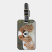 ブレンハイムカバリヤキングシャルルパピードッグ ラゲッジタグ (正面縦)