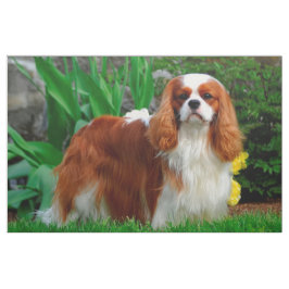 ブレンハイムカヴァリエキングチャールズスパニエル犬ドッグパネル ファブリック