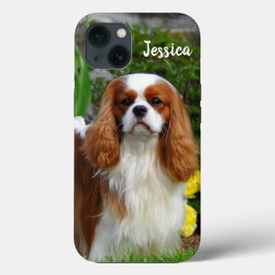 ブレンハイムカヴァリエキングチャールズスパニエル犬パピードッグ iPhone 13ケース