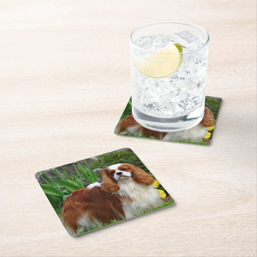ブレンハイムカヴァリエキングチャールズスパニエル犬ワンピードッグ スクエアペーパーコースター (インサイチュ)