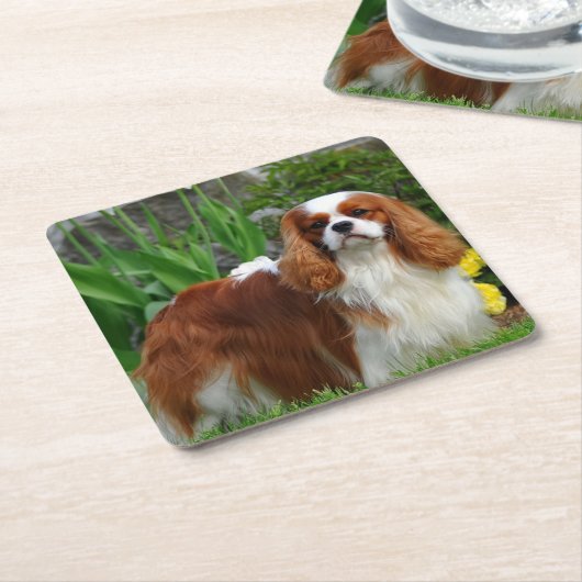 ブレンハイムカヴァリエキングチャールズスパニエル犬ワンピードッグ スクエアペーパーコースター (アングル)