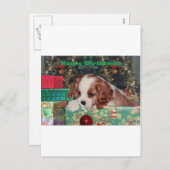 ブレンハイムクリスマスパピー シーズンポストカード (正面/裏面)