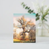 ブレンハイムパレスイングリッシュオーク ポストカード (スタンド正面)