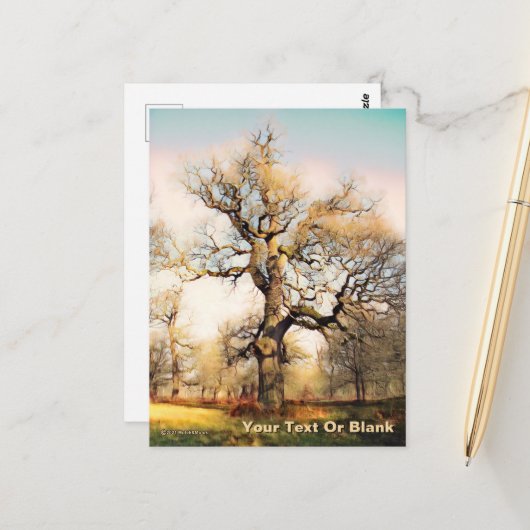 ブレンハイムパレスイングリッシュオーク ポストカード (正面/裏面インサイチュ)