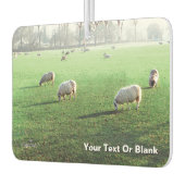 ブレンハイムパレスシープ カーエアーフレッシュナー (左)