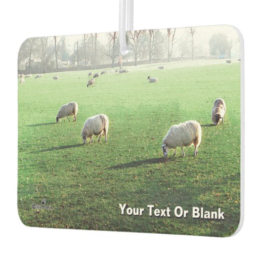 ブレンハイムパレスシープ カーエアーフレッシュナー (左)