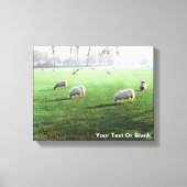 ブレンハイムパレスシープ キャンバスプリント (正面)