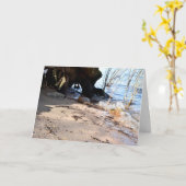 ブレーカー、ビーチライフ カード (黄色い花)