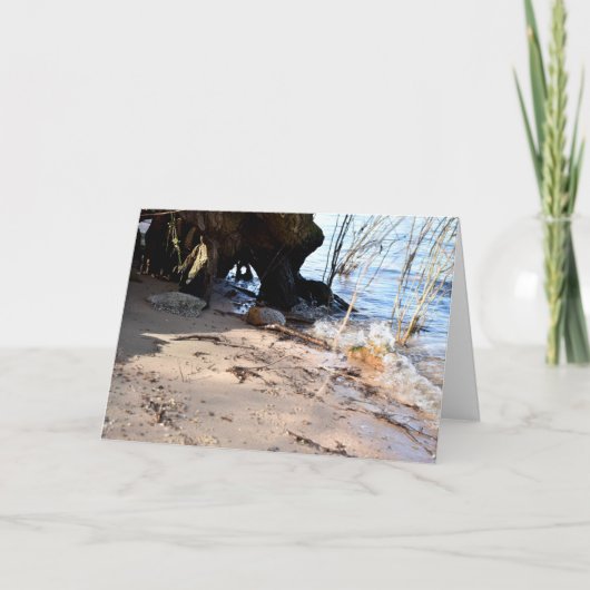 ブレーカー、ビーチライフ カード (正面)