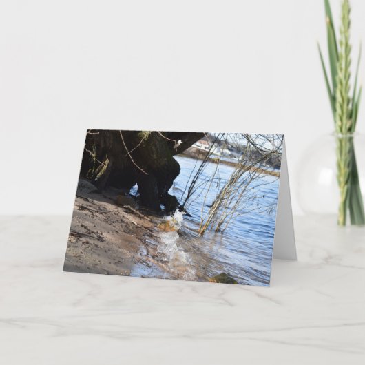 ブレーカー、ビーチライフ カード (正面)