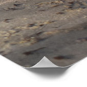 ブレーカー、ビーチライフ ポスター (角)