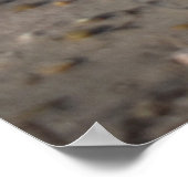 ブレーカー、ビーチライフ ポスター (角)