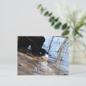 ブレーカー、ビーチライフ ポストカード (スタンド正面)