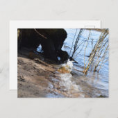 ブレーカー、ビーチライフ ポストカード (正面/裏面)