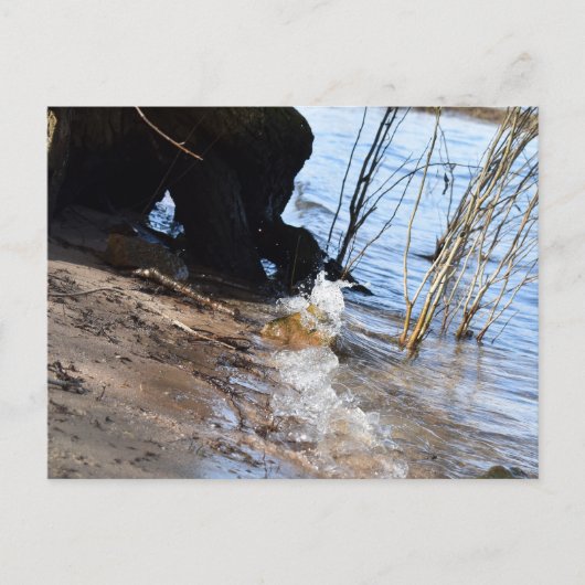 ブレーカー、ビーチライフ ポストカード (正面)