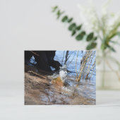 ブレーカー、ビーチライフ ポストカード (スタンド正面)