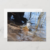 ブレーカー、ビーチライフ ポストカード (正面/裏面)