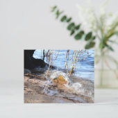 ブレーカー、ビーチライフ ポストカード (スタンド正面)