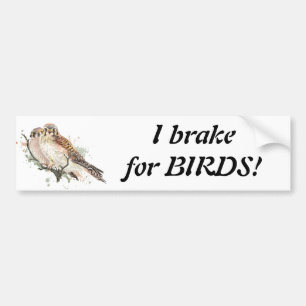 ブレーキフォーバーズ引用文野鳥観察ケストレルカップル バンパーステッカー
