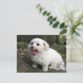 ブレーク時間 ポストカード (スタンド正面)