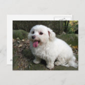 ブレーク時間 ポストカード (正面/裏面)