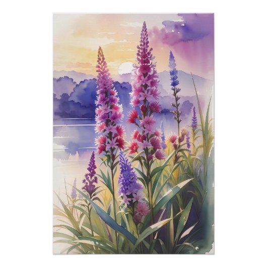 ブレージングスター美しい ポスター (正面)