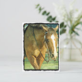 ブレーズウエスタンホース ポストカード (スタンド正面)