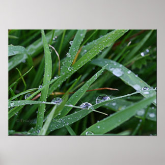 ブレードランナー ポスター